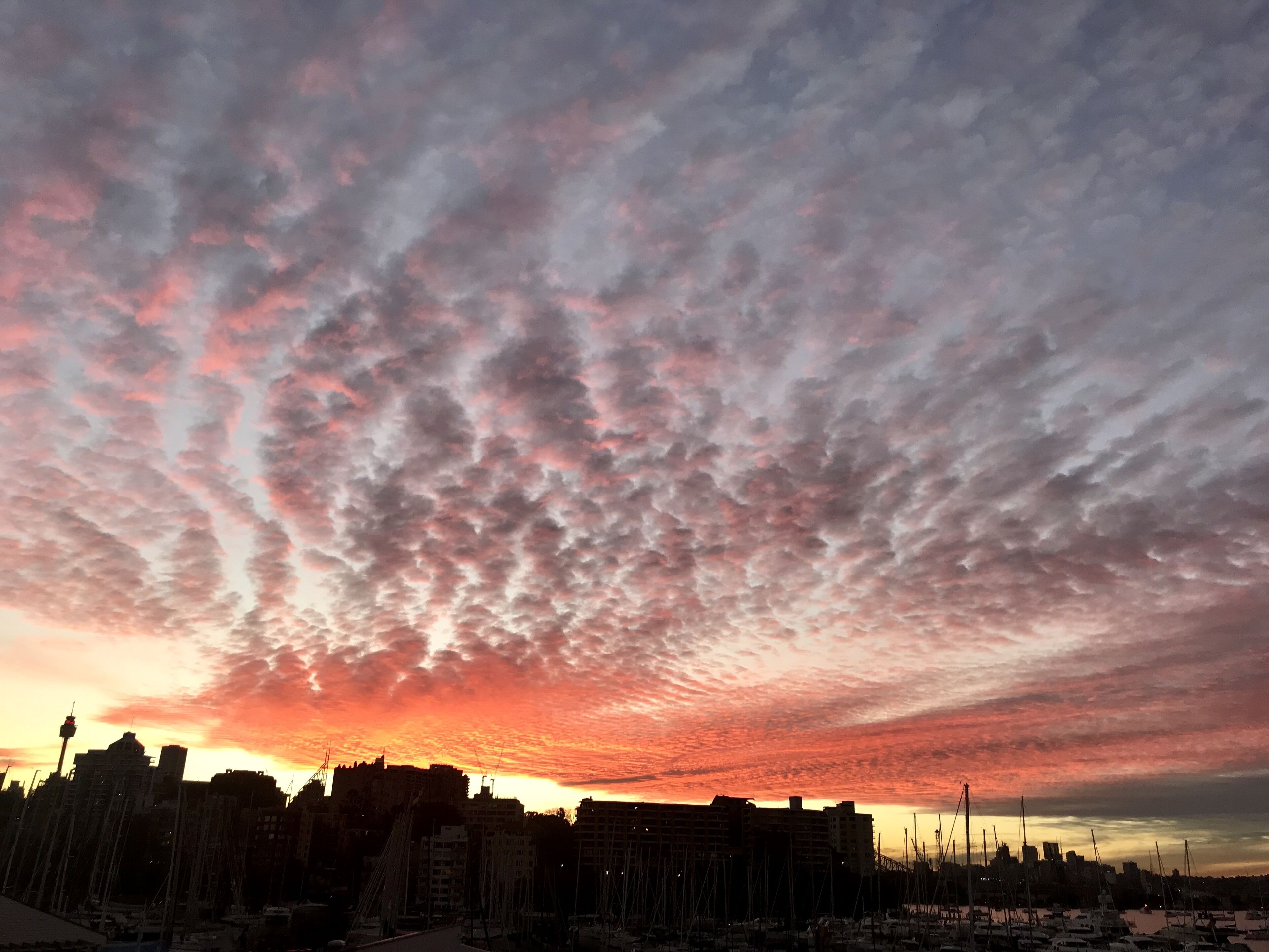 Luxury Harbour and City Skyline Views — image 6