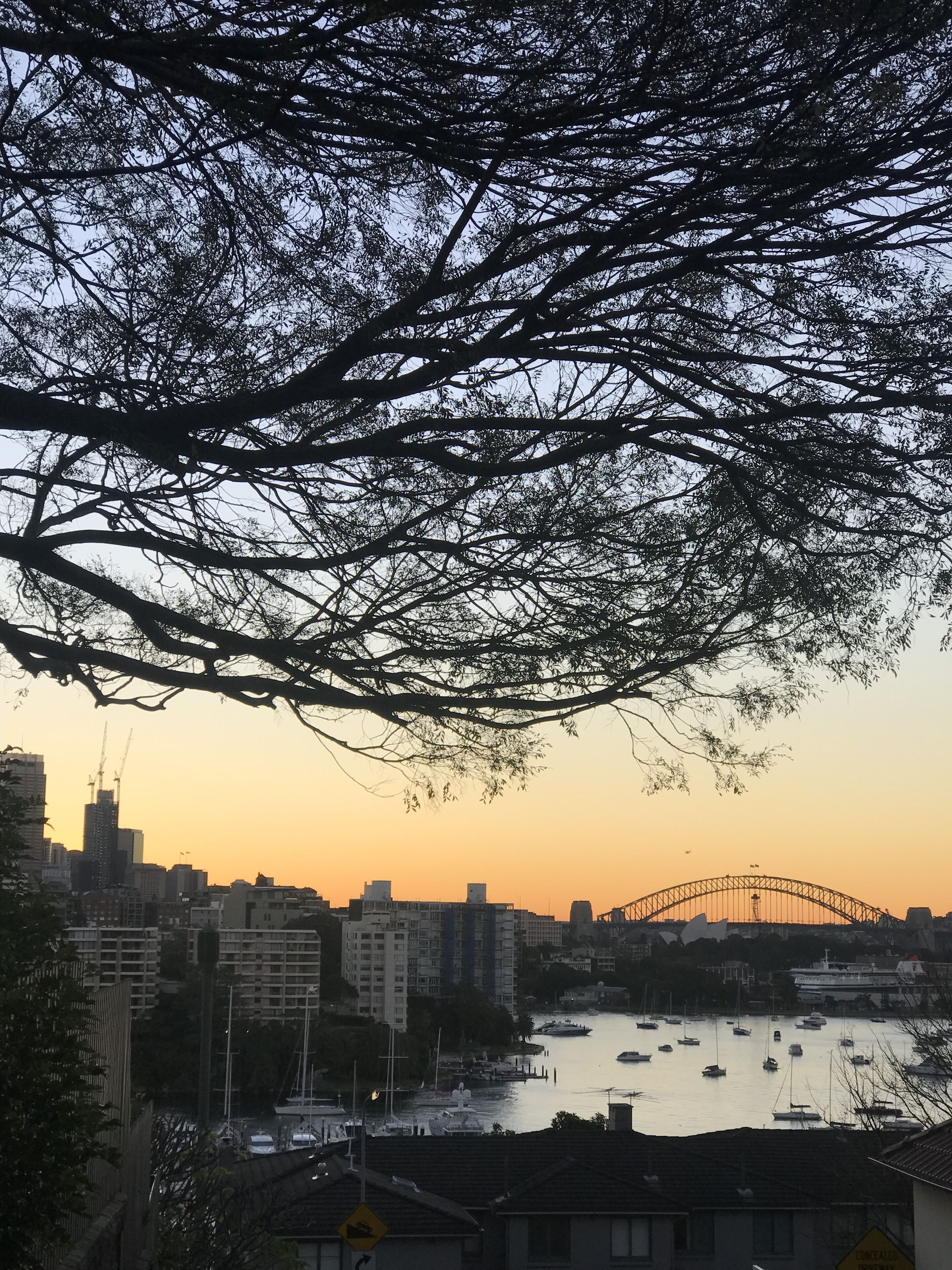 Luxury Harbour and City Skyline Views — image 26