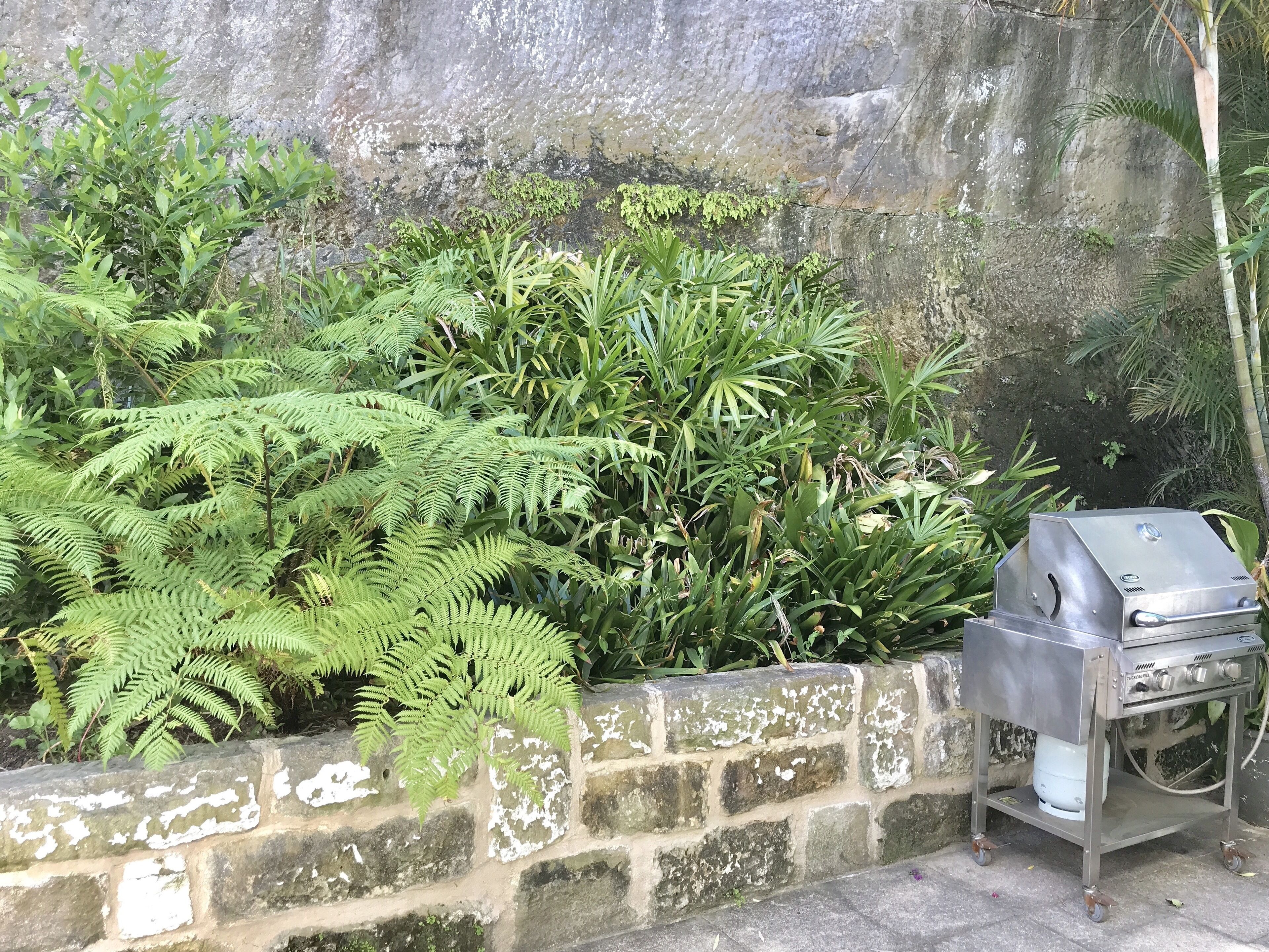 Luxury Harbour and City Skyline Views — image 23