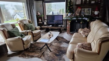 Smart TV, fireplace