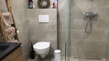 Shower, hair dryer, soap, toilet paper