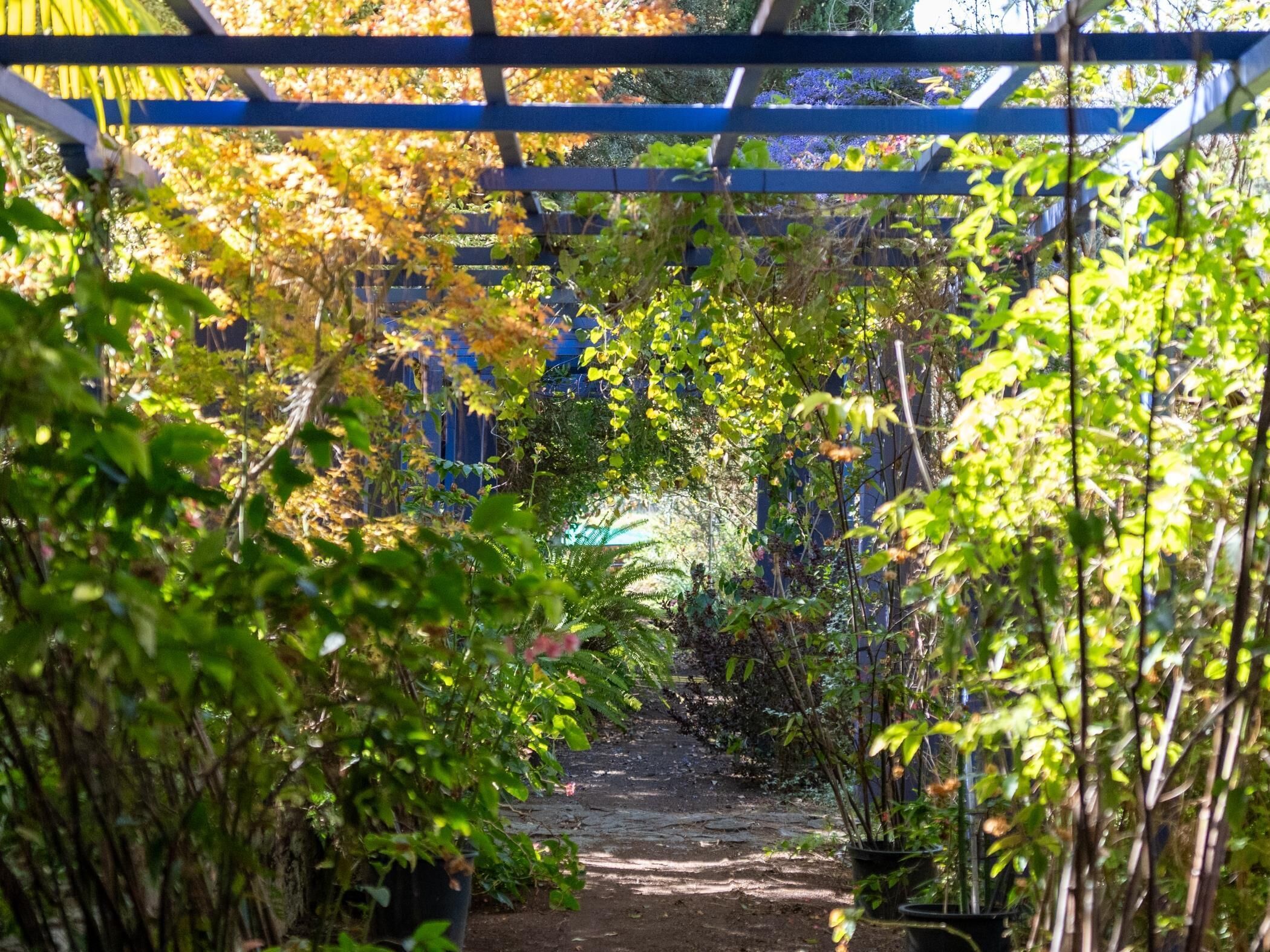 Jardines del alojamiento