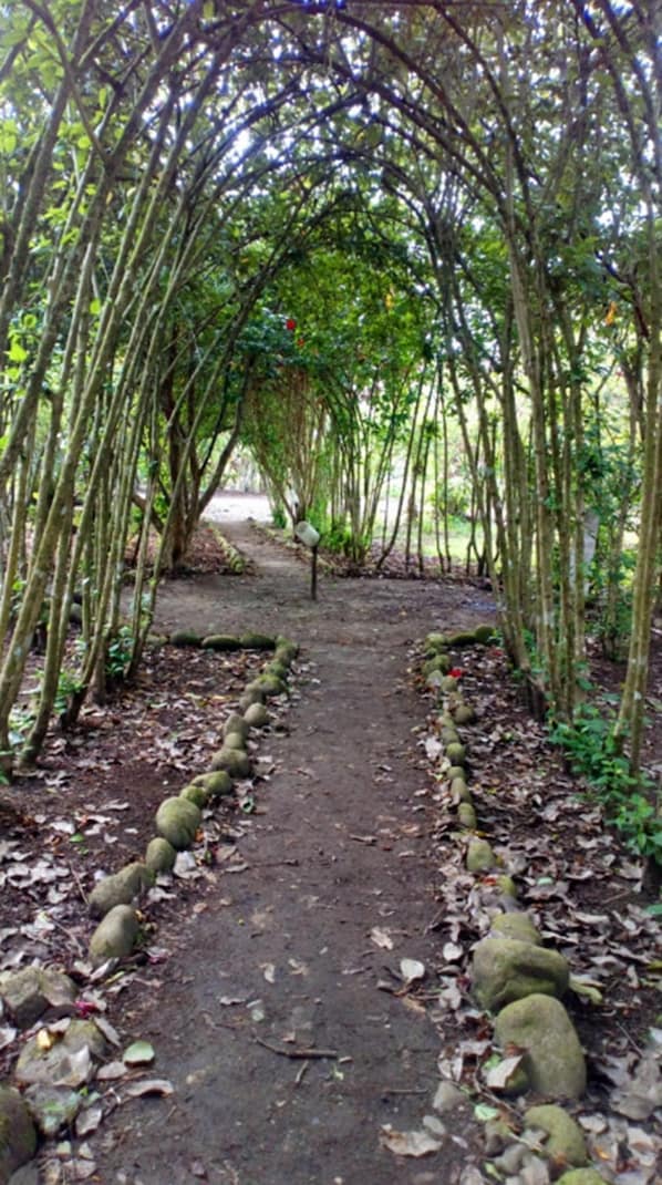 Jardin