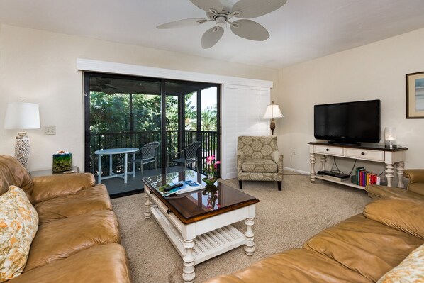 テレビ、DVD プレーヤー