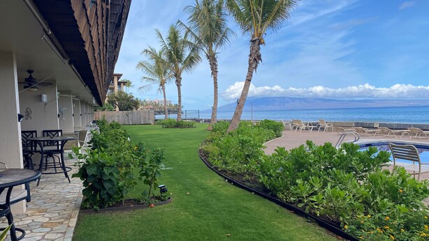 A patio area with a pool, palm trees, and a view of the ocean. - REDUCED RATES with A/C! 113 Darling little ground floor 1 bed, 1 bath (Lahaina)