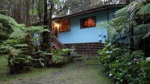 A rustic cabin with a wooden deck and a small porch, surrounded by lush greenery and ferns.