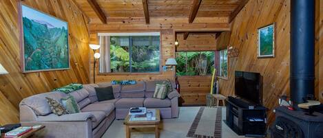 Televisión y chimenea