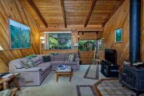 Télévision, cheminée