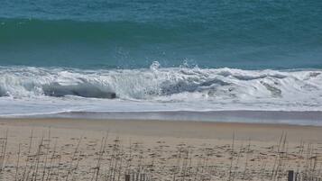Accommodatie ligt op het strand