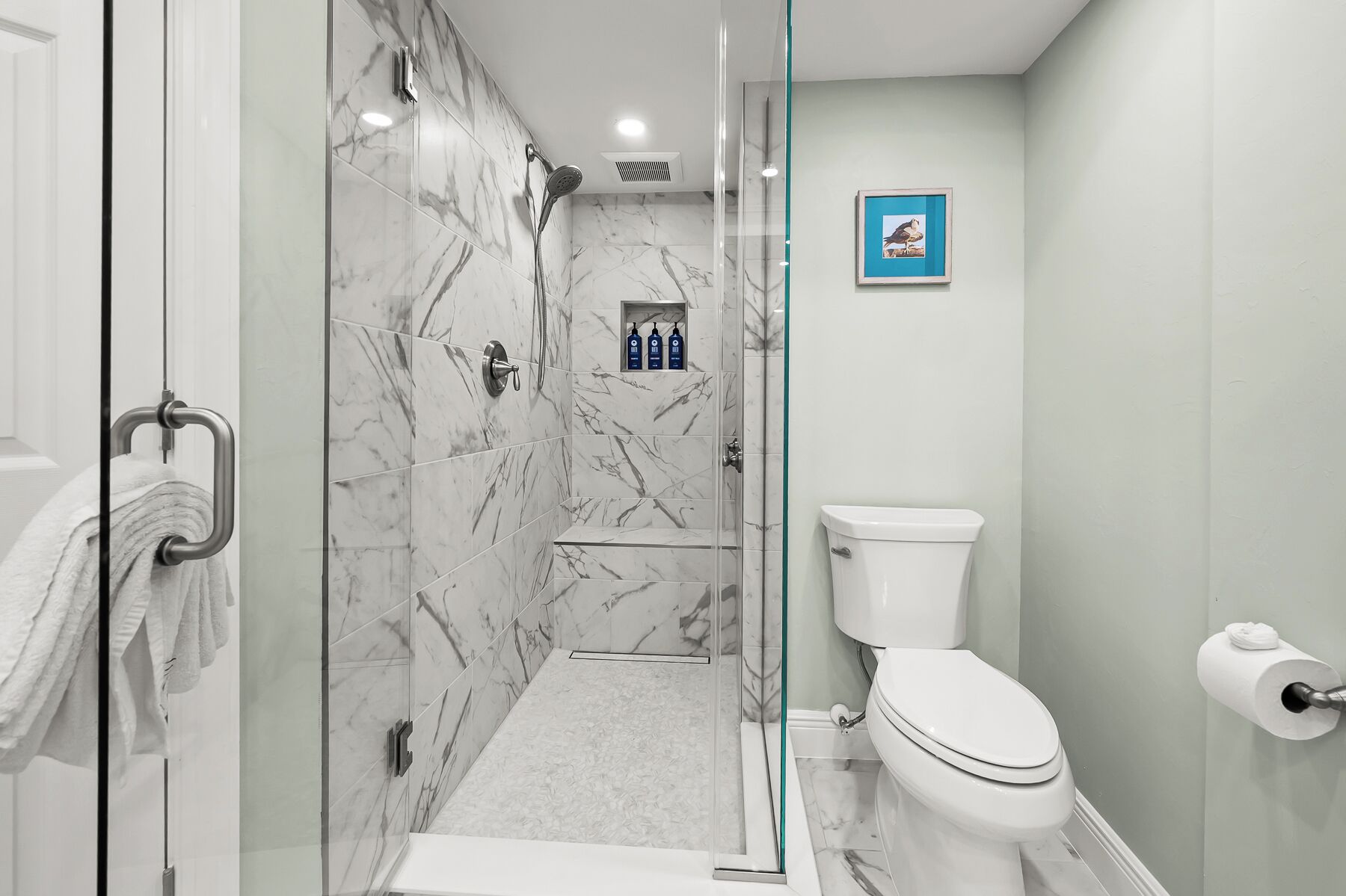 A bathroom with a glass-enclosed shower, a toilet, and a framed picture on the wall.