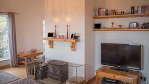 A cozy living room with a wooden TV stand, a flat-screen TV, a fireplace with a metal cage, and a bookshelf with books and decorative items.