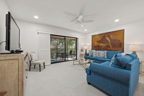 电视、DVD 播放器