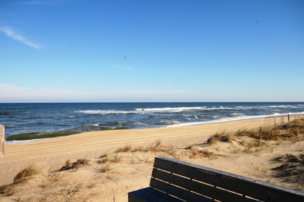 Una playa con un banco de madera mirando al océano.