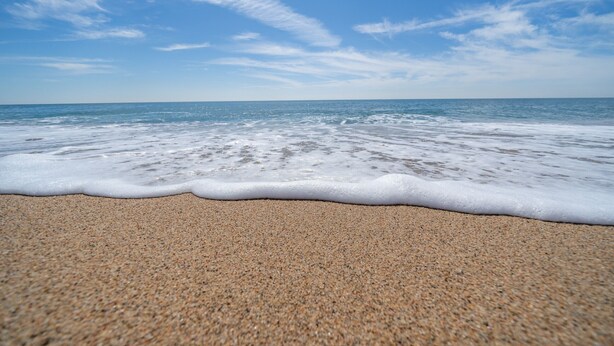 A beach with a sandy shore and ocean waves. - HomeHolidaysRentals Solmar - Costa Barcelona (Santa Susana)