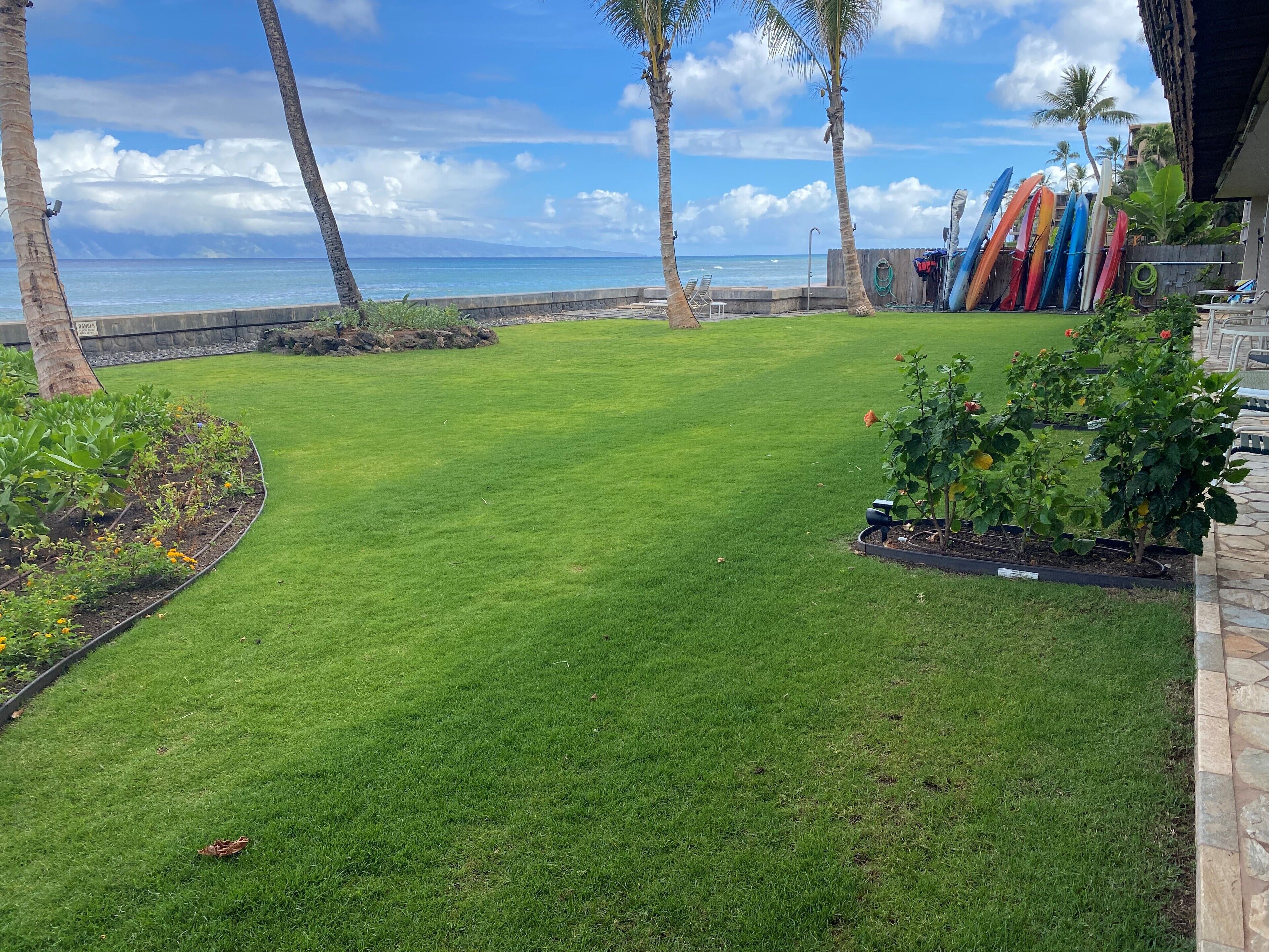 A well-maintained lawn with a view of the ocean, palm trees, and surfboards.