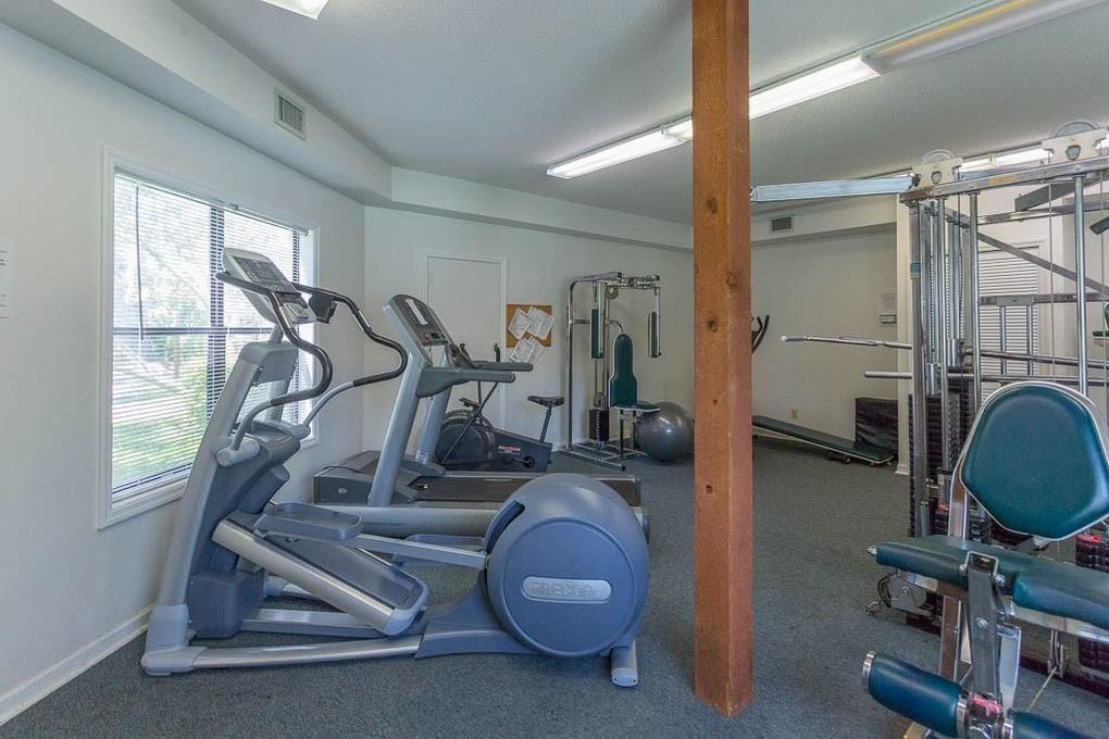 A gym with treadmills, an elliptical, a weight bench, and a squat rack.