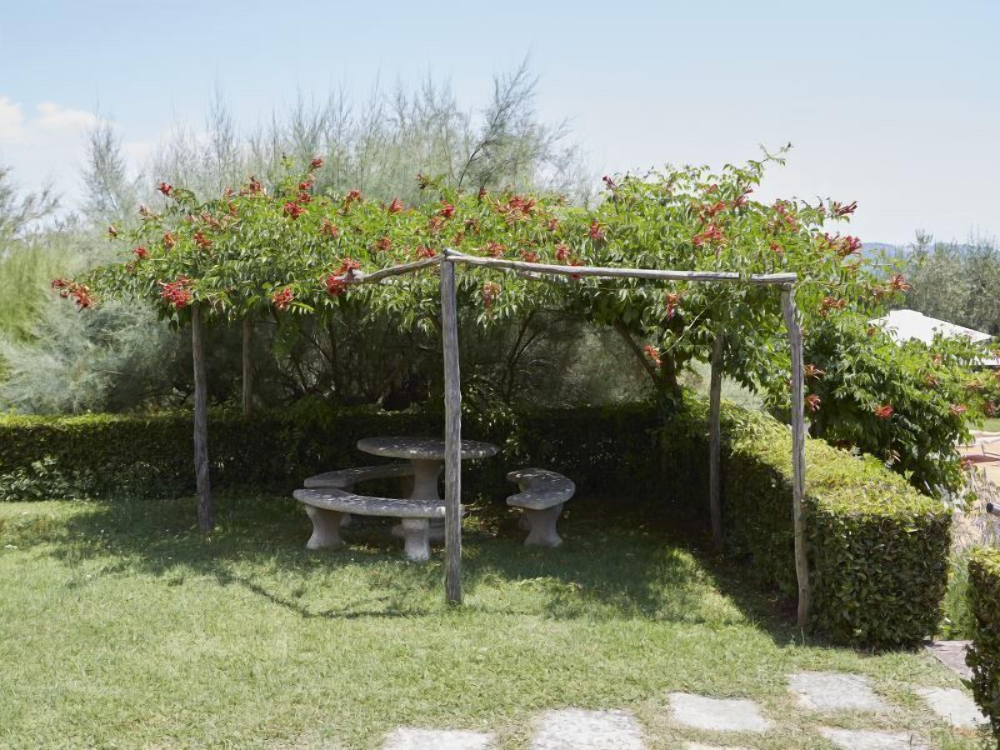 A garden with a pergola structure, two stone benches, and a stone pathway.
