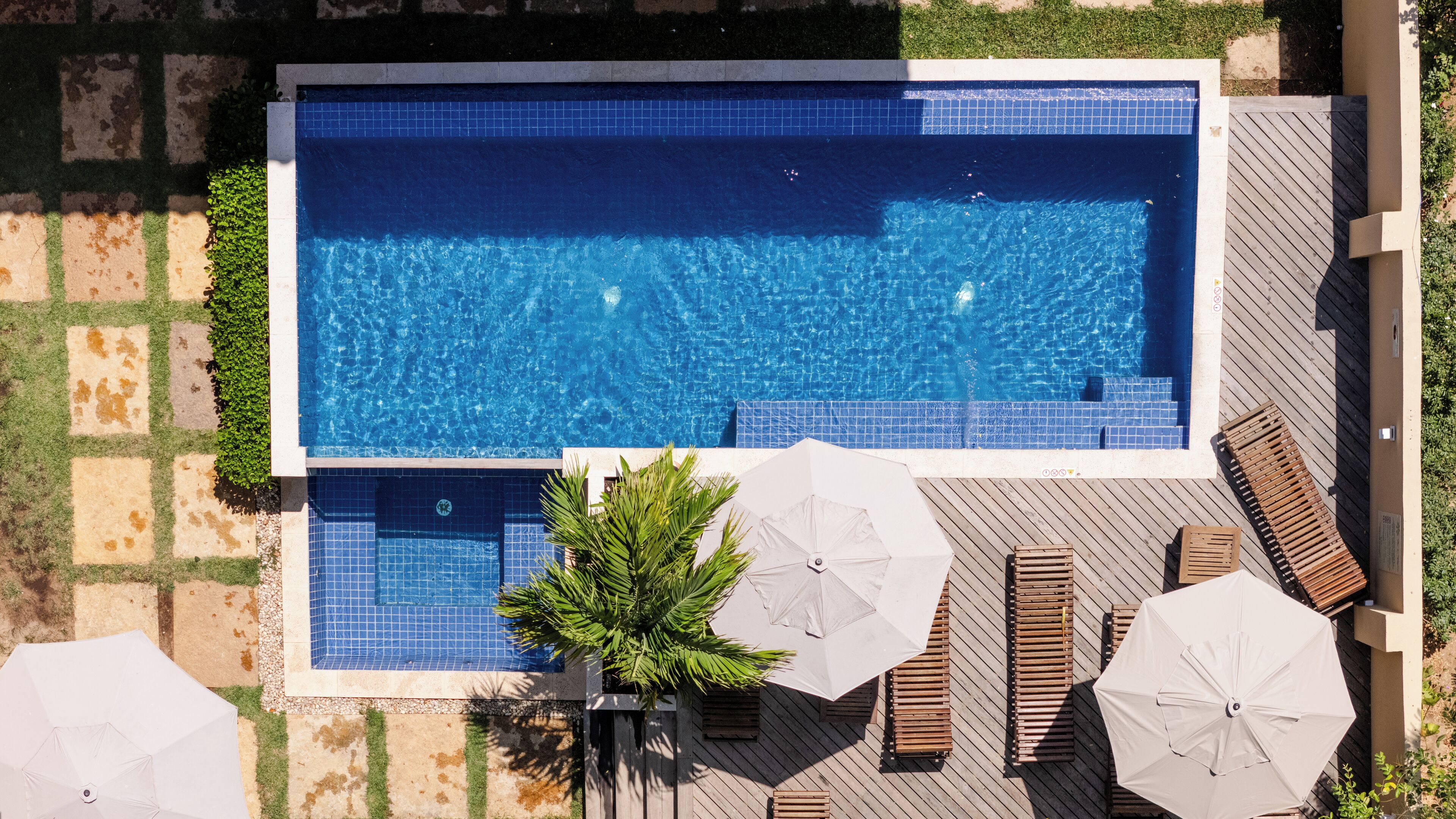 Vista aérea de una piscina rectangular con un solárium de baldosas a su alrededor, equipada con sillones de descanso y sombrillas.