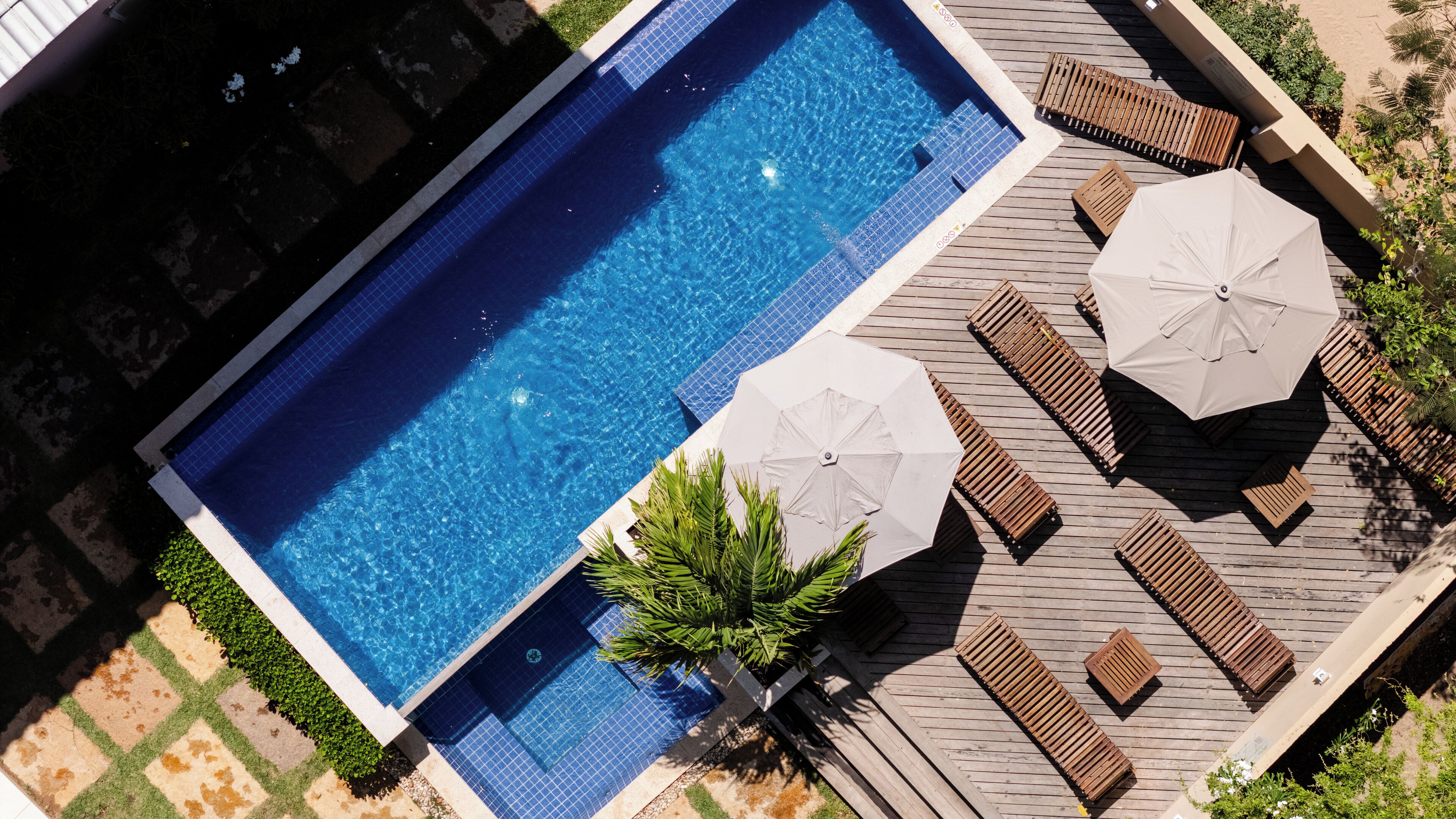 Vista aérea de una piscina rectangular con bordes de azulejos, rodeada de tumbonas y sombrillas de madera.