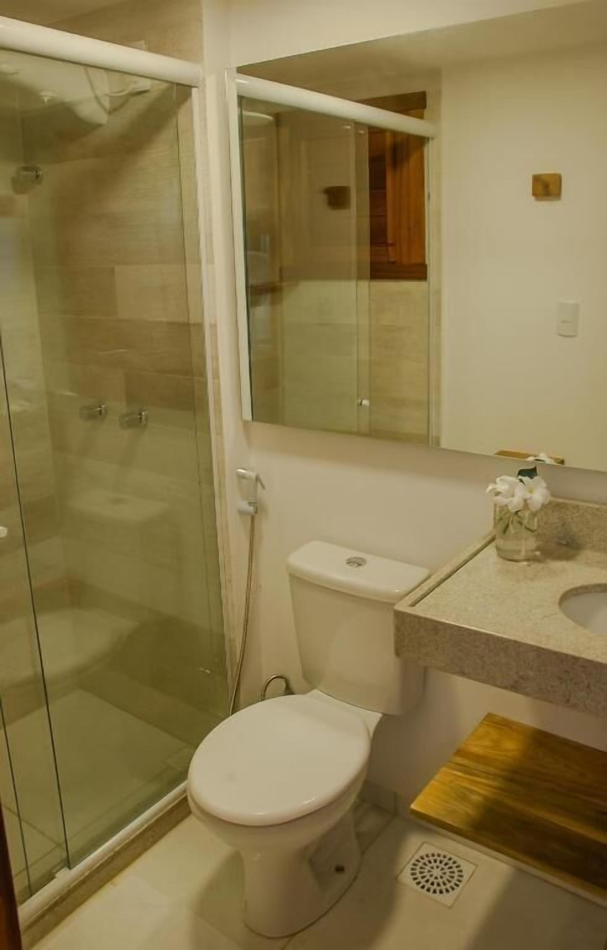 A bathroom with a glass-enclosed shower, a toilet, and a sink with a mirror above.