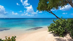 A beach with clear turquoise water, a sandy shore, and a tree providing shade. - Beachfront Bliss with Plunge Pool - Seashells (Paynes Bay)