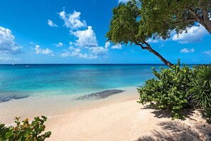 On the beach - Beachfront Bliss with Plunge Pool - Seashells (Paynes Bay)