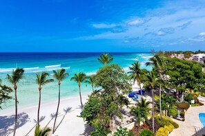 A beach resort with palm trees, a pool, and ocean views.