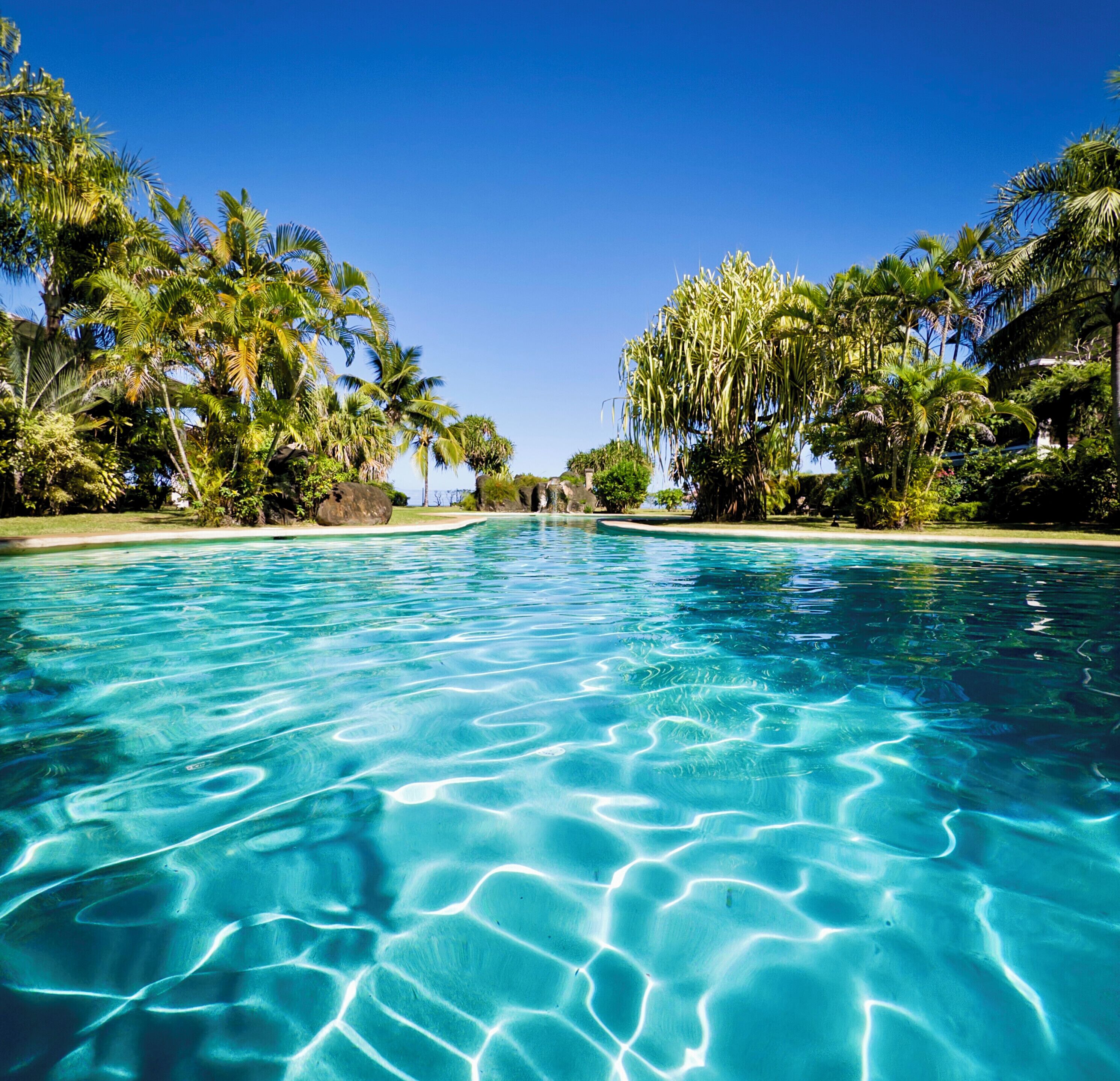 Une piscine d’eau cristalline, entourée d’une végétation tropicale luxuriante.
