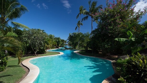 Une piscine aux bords incurvés, entourée d’une végétation tropicale et de palmiers.