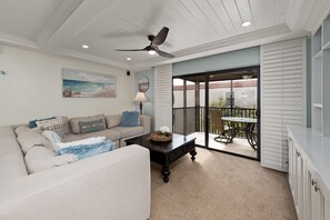 تلفزيون، مشغل دي في دي