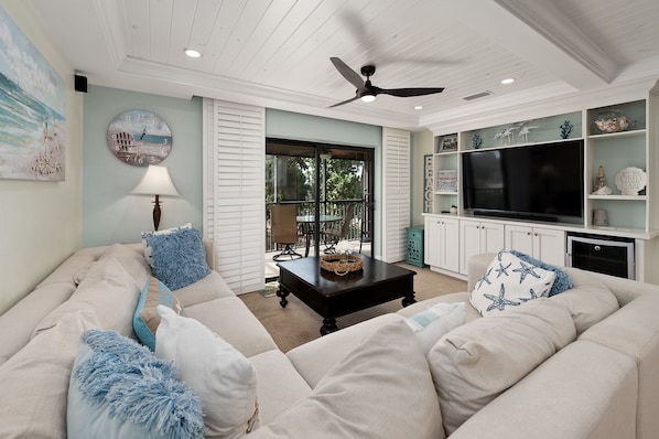 تلفزيون، مشغل دي في دي