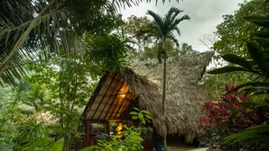 Una capanna rustica con tetto di paglia circondata da rigogliosa vegetazione tropicale.