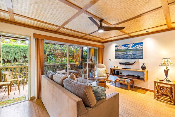 TV, DVD-spiller og bøker