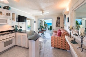 TV, DVD player, books - Beachfront Rooftop Penthouse with Plunge Pool - Reeds House 1 (Reeds Bay)