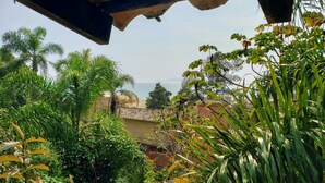 A lush garden with various plants and a view of a building with a tiled roof. - Pousada da Lagoinha (Florianópolis)