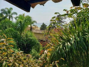 Panoramic Room | Minibar, desk, iron/ironing board, free WiFi - Pousada da Lagoinha (Florianópolis)