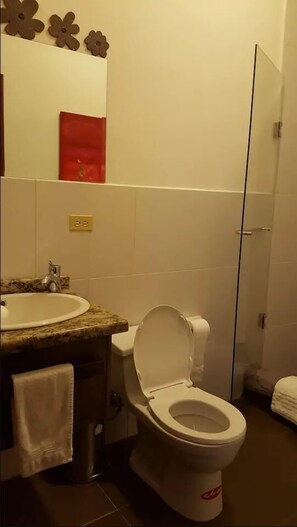 Shower, rainfall showerhead, hair dryer, towels - La Casa De Manuel (Loja)