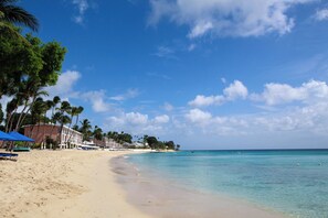 A beach with a clear sky, palm trees, and a sandy shore.