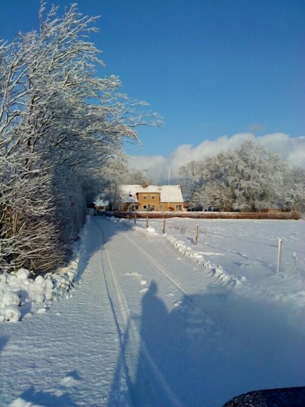 Majoituspaikan julkisivu