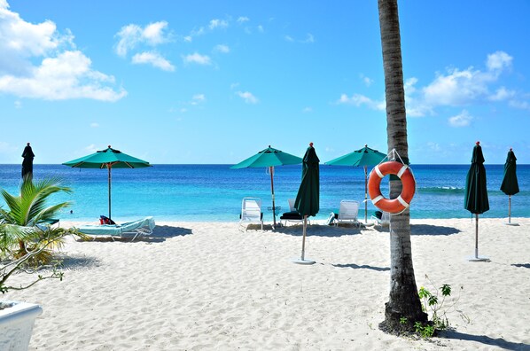 在海滩、间海滩酒吧