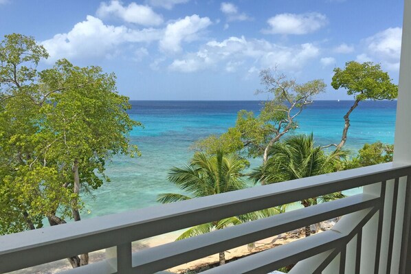 A balcony with a view of turquoise ocean and palm trees.