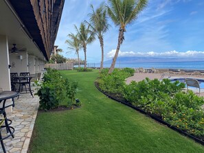 Outdoor dining - REDUCED RATES! 213 Beautiful oceanfront 1 bed/bath, 2nd floor condo (Lahaina)