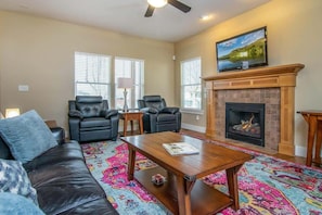 Télévision, cheminée, jeux vidéo, espaces bureaux