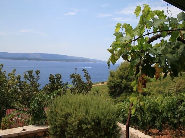 Terrain de l’hébergement 