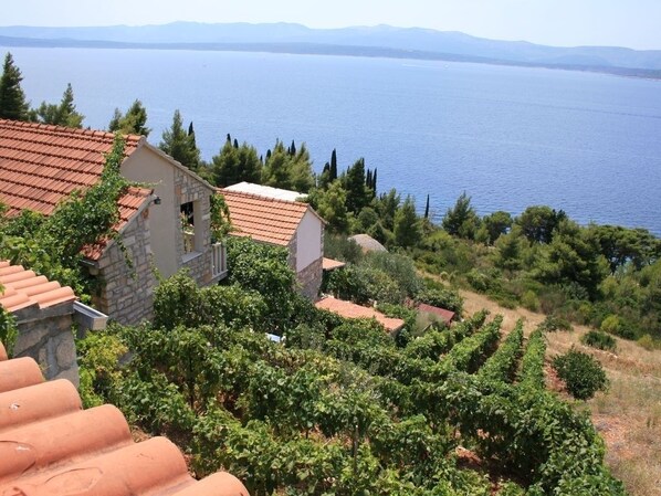 A coastal villa with terracotta roofs, surrounded by vineyards and a view of the sea.
