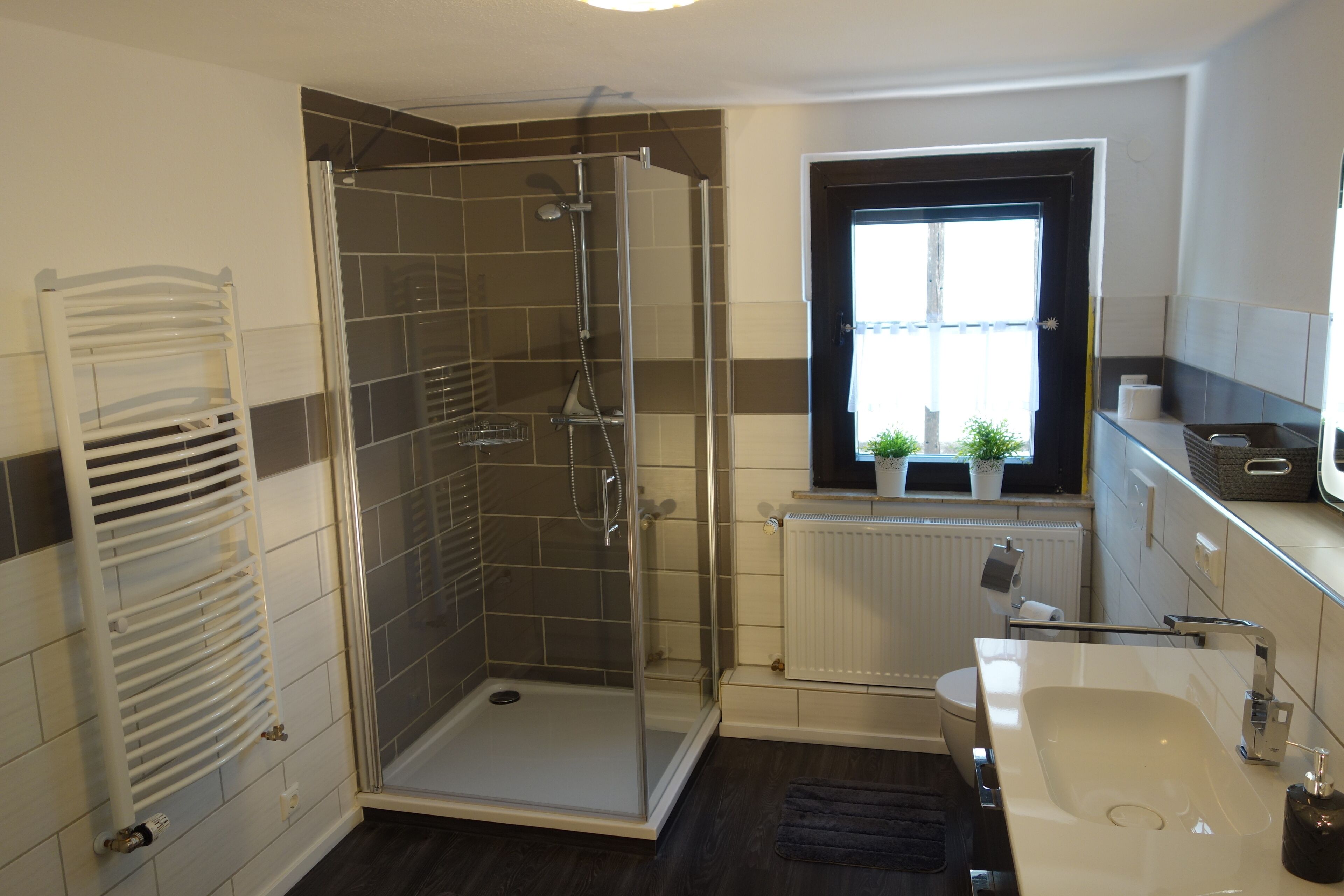 Une salle de bain moderne avec une douche à parois de verre, un lavabo blanc et une fenêtre agrémentée de plantes.