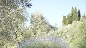 A stone wall with steps leading up to a bushy area, surrounded by trees and grass. - Montestigliano, an authentic farmhouse in the heart of Tuscany, is an oasis of peace and beauty that offers its guests refined residences and an enchanting view (Rosia - Sovicille)