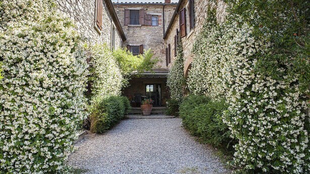 A narrow cobblestone alley flanked by stone buildings with ivy-covered walls and a gravel path leading to a door.