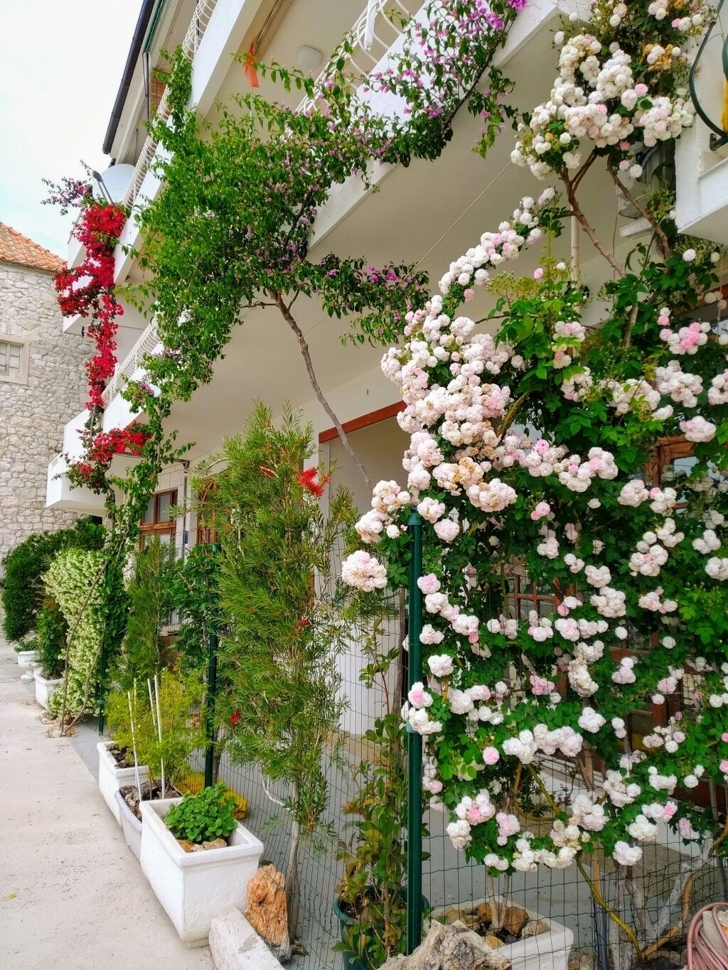 Un edificio con un balcón cubierto de enredaderas y plantas florecientes.