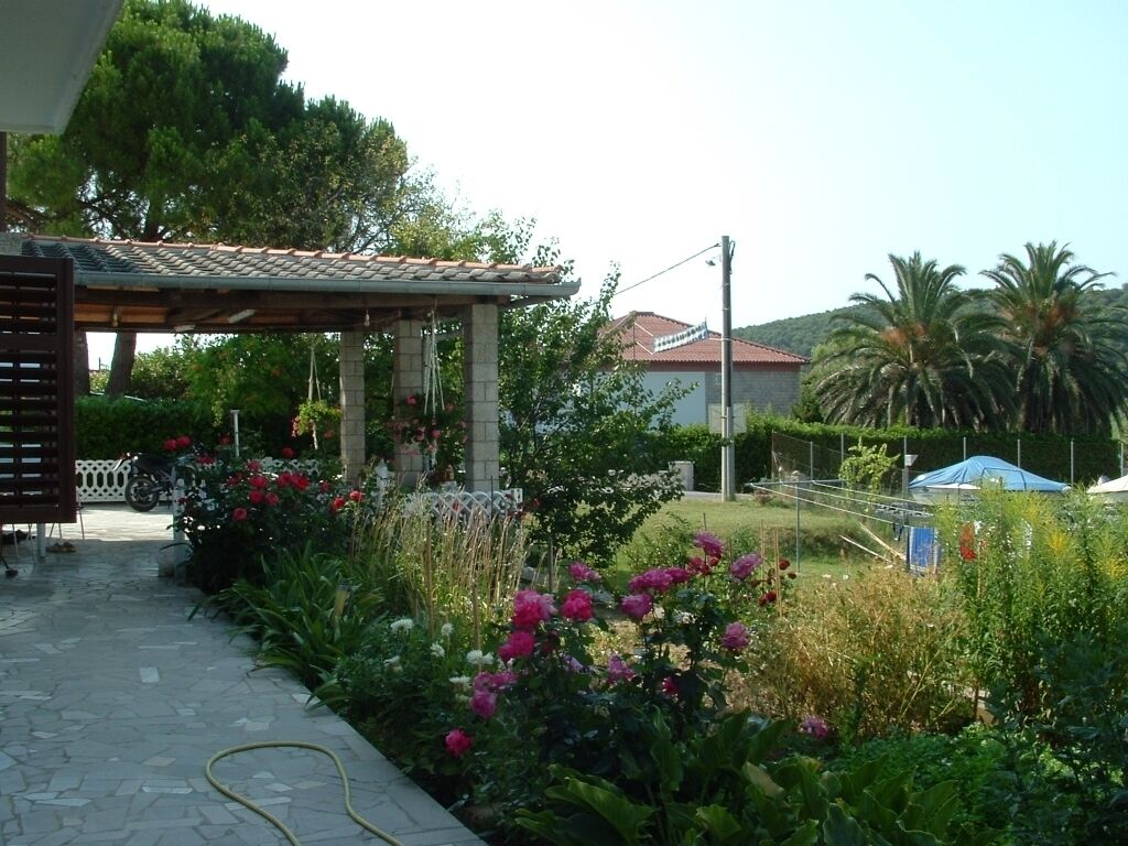 A garden with a pergola, flowering plants, and a pathway leading to a building.